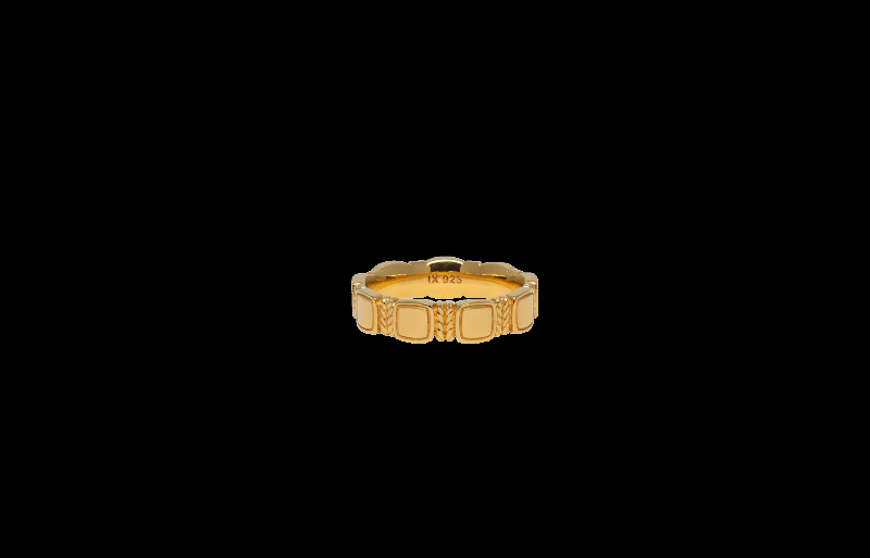 Ix Hyldest Ring