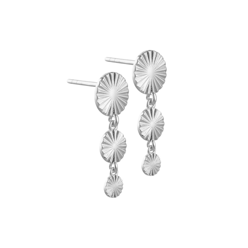 Line Coin Long  Silver