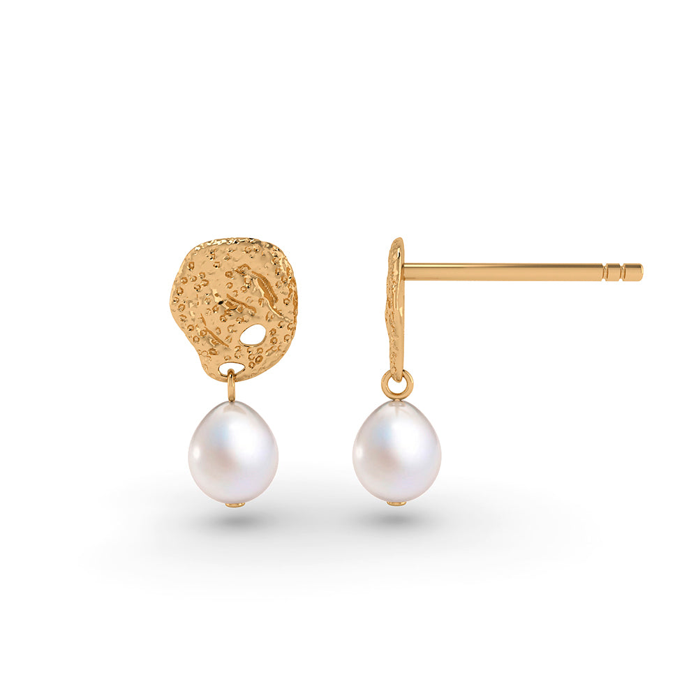 Super Moderne Brasilia Ørestikker - Elegance til enhver lejlighed