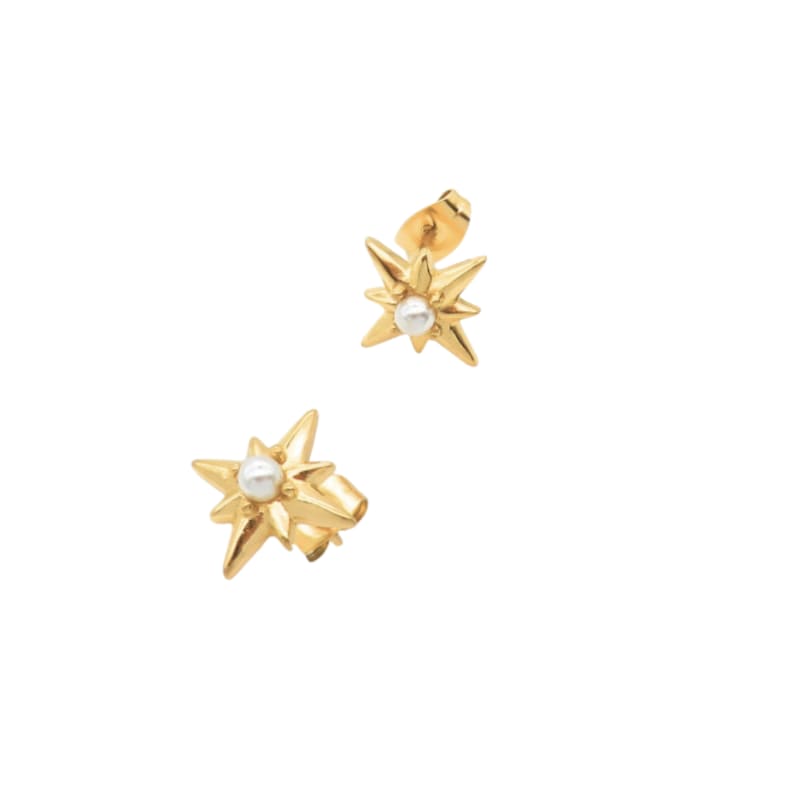 Pearl Star Earring