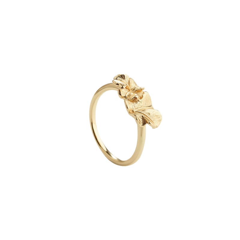 Folio Ring - 54  Golden